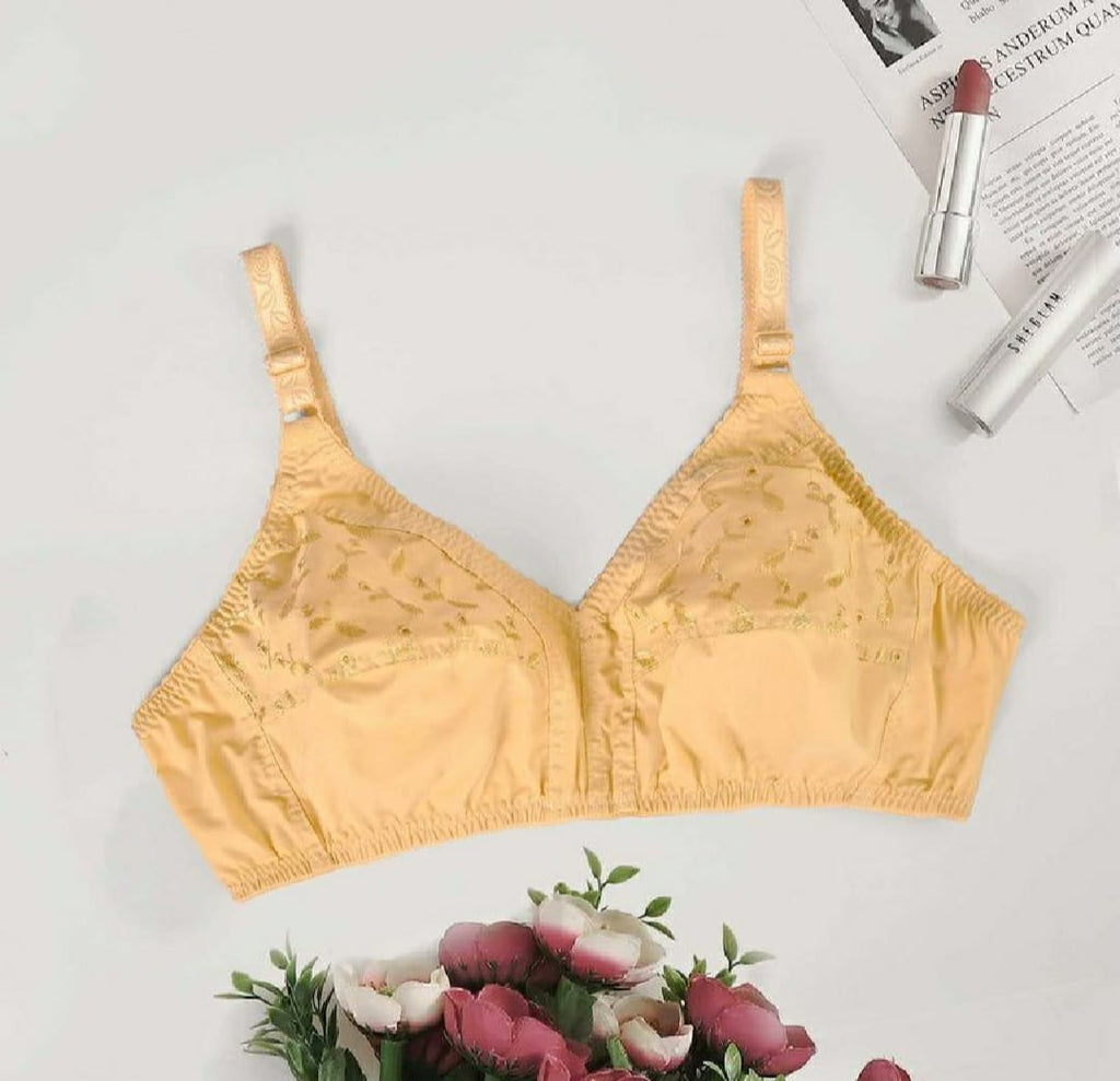 50% OFF | PACK OF 2 IMPORTED EBRIODERY STRETCHABLE COTTON BRA FOR SUMMER